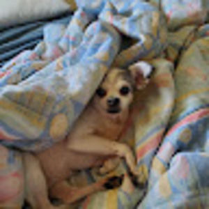 Meet your Posher, Leslie